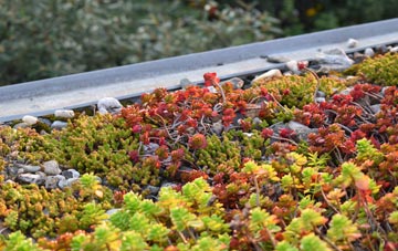 the cost of Mossbank green roof installation