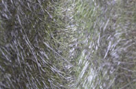 Mossbank fibreglass roof work